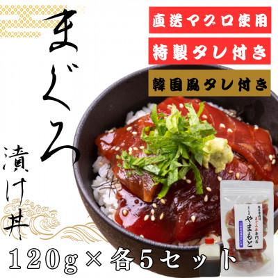ふるさと納税 宮城県 【直送マグロ使用】まぐろパック　特製漬けタレと特製韓国風タレ付き　120g×各5パック