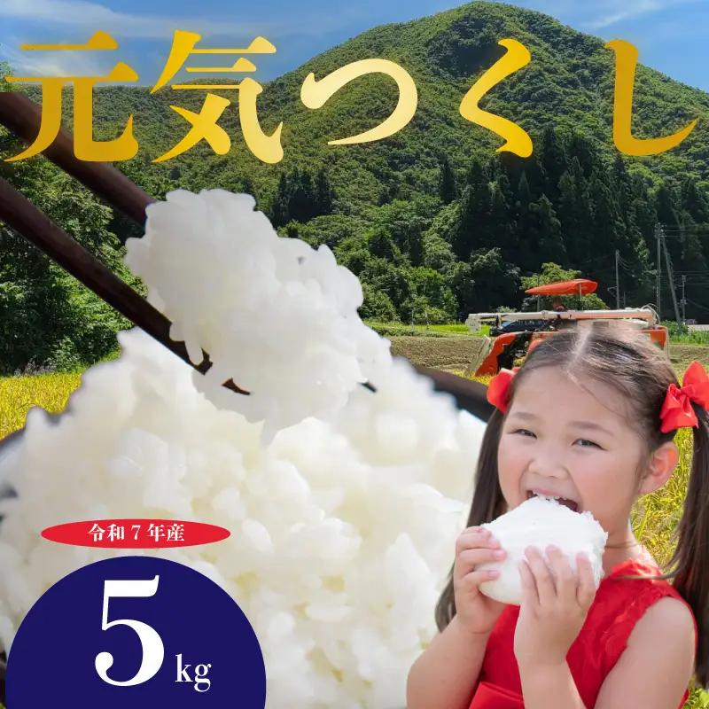 元気つくし 5kg 令和7年産 お米 米 こめ TJI