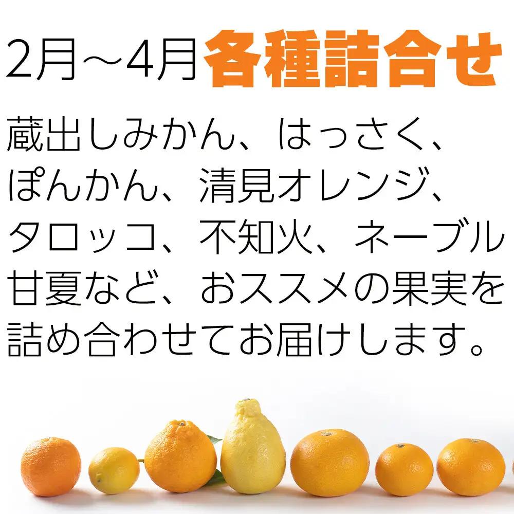 鈴木農園の旬の柑橘詰め合わせ 4.5kg～5kg 箱 2月～4月発送