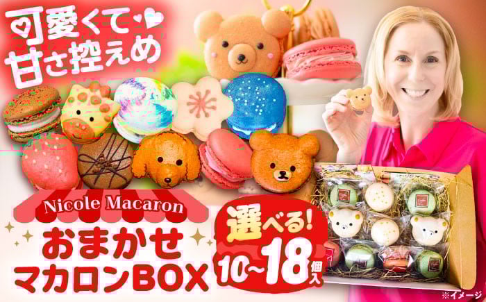 
            ＼選べる内容量／おまかせ マカロン ボックス 10個～18個入 マカロン 焼菓子 スイーツ まかろん 洋菓子 愛西市 / ニコールマカロン [AEDA001-003]
          