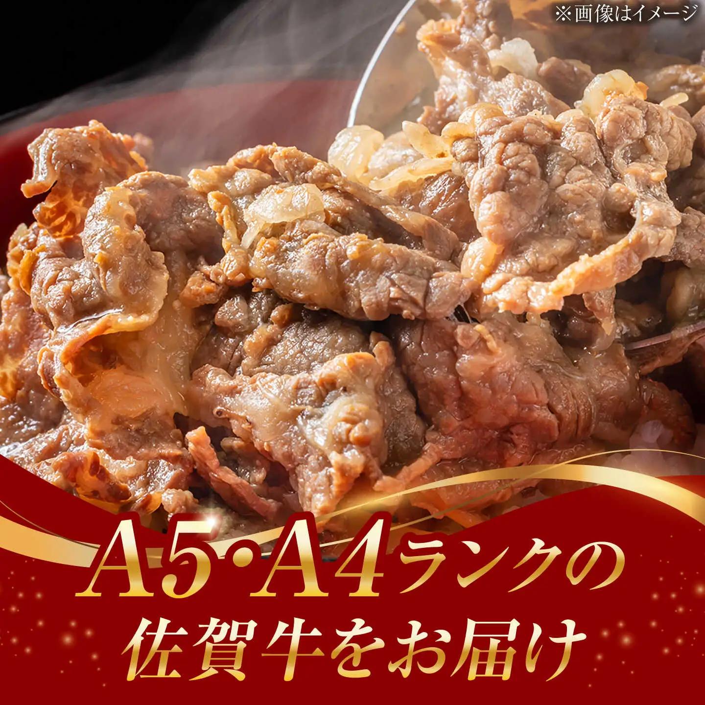 佐賀牛 牛肉切り落とし 460g 牛 [UCC010]