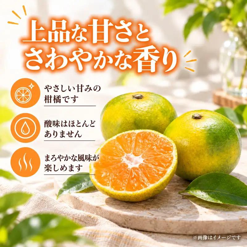 スイートスプリング 約10kg 果物類 みかん 柑橘類 フルーツ 