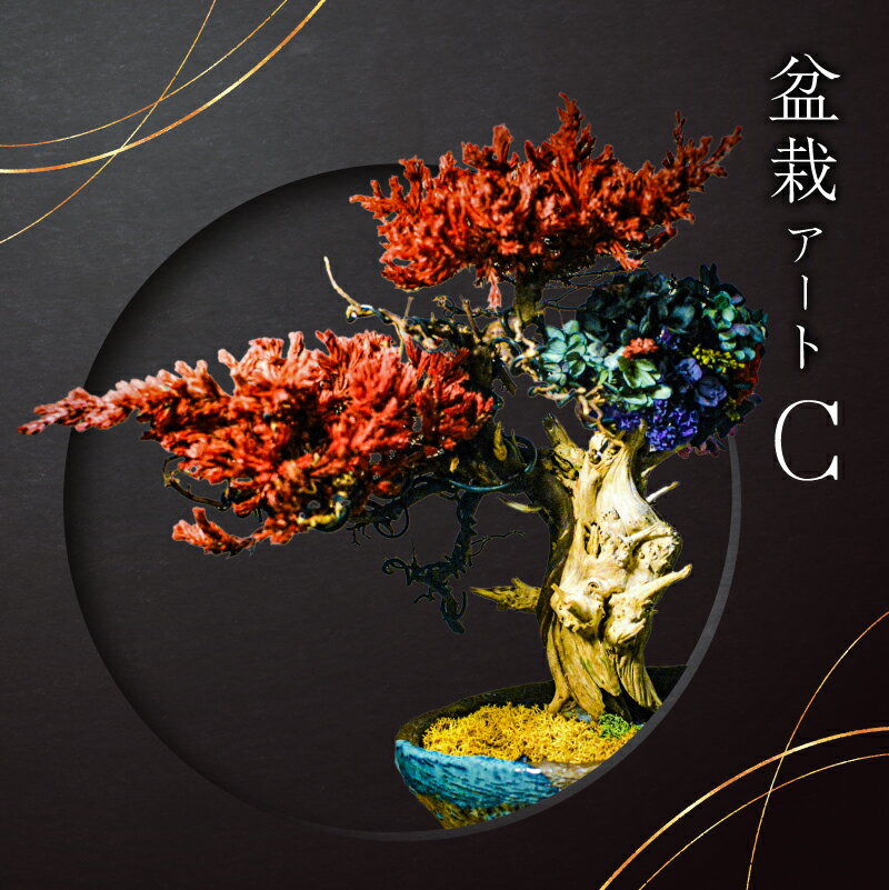 【ふるさと納税】盆栽アート【C】 岐阜県 可児市 盆栽 アート 伝統文化 インテリア ディスプレイ 再生 植物 アート作品 Withers 水やり不要 メンテナンス不要 盆栽アート 日本 伝統 文化 オフィス 自宅 装飾 飾り 送料無料