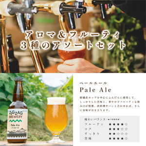 クラフトビール 〈フルーティ〉 飲み比べ（3種6本） ビール [ZIG05]