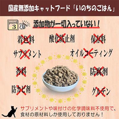 ふるさと納税 泉佐野市 【毎月定期便】国産 無添加 キャットフード「いのちのごはん」1kg×全6回 099Z175 |  | 03