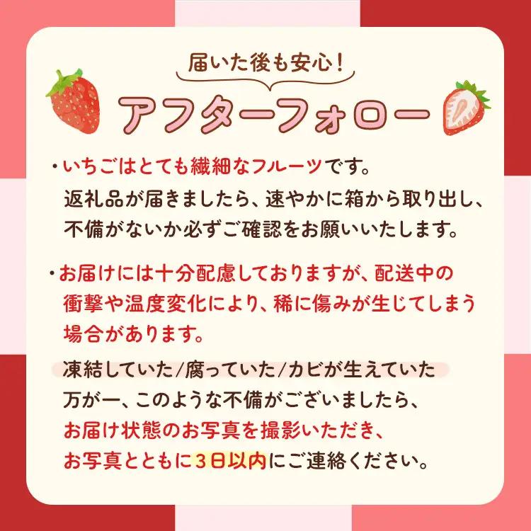 【先行予約】いちご 270g 4パック (2月発送) | いちご 苺 ※2027年2月～発送