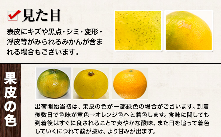 訳あり みかん くまもと小玉みかん 5kg (2.5kg×2箱)  フルーツ 柑橘 小玉 《9月中旬-10月下旬頃出荷》---fn_nkomikan_k9_24_5500_5kg---