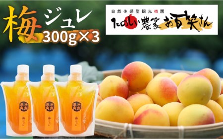 梅ジュレ /お百笑さん [UAZ001] 梅 加工品