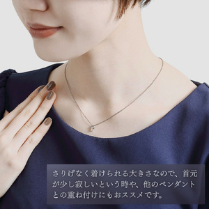 純チタンクロスプチペンダント ネックレス | アクセサリー ネックレス 新潟県 弥彦村