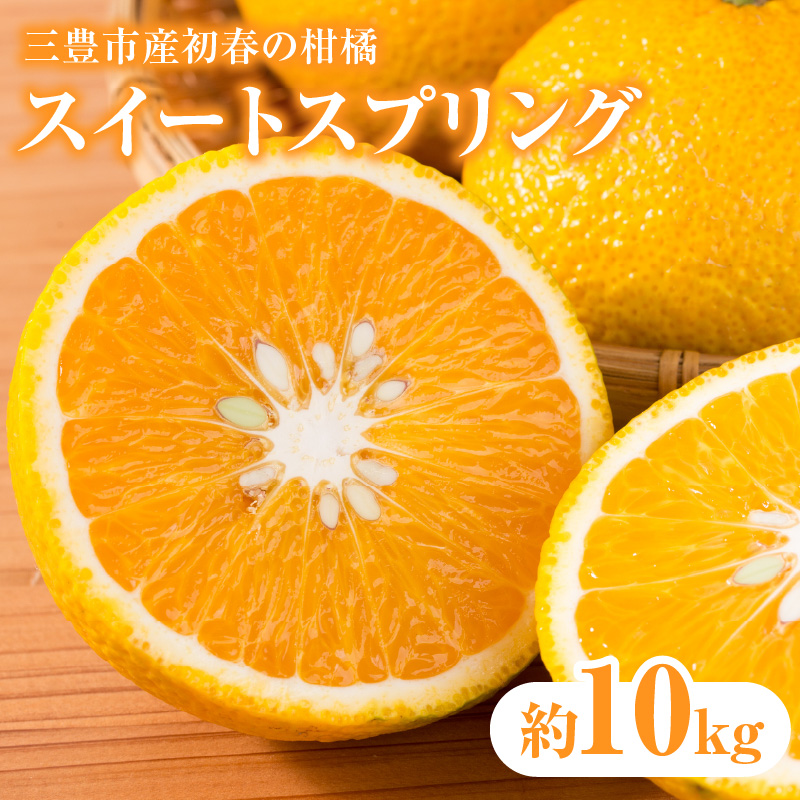 M02-0087_【ふるさと納税】三豊市産初春の柑橘「スイートスプリング」約10kg