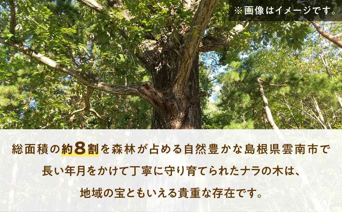 【訳あり】ナラのミニカッティングボード 木製 雑貨 インテリア 訳あり 家庭用 / 島根県雲南市 / Wood Party [AIAI008]