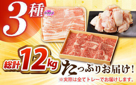 【全12回定期便】佐賀のお肉焼肉セット（牛肉・豚肉・鶏肉）【吉祥】 HCW020 焼肉 BBQ