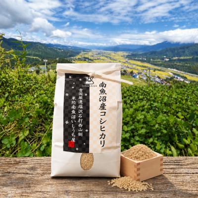 ふるさと納税 南魚沼市 【令和8年産】生産者限定『南魚沼しおざわ産コシヒカリ』玄米30kg
