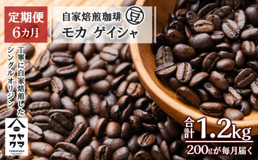 
【定期便6ヶ月】自家焙煎珈琲 モカ ゲイシャ（豆） 200g
