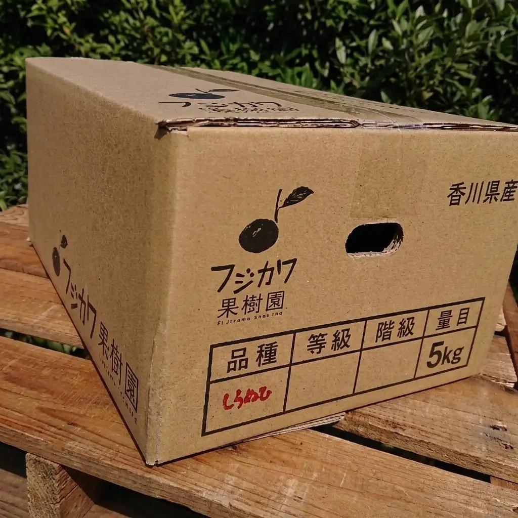 不知火 低温貯蔵ハウス みかん 柑橘 不知火【約5kg】【先行予約】