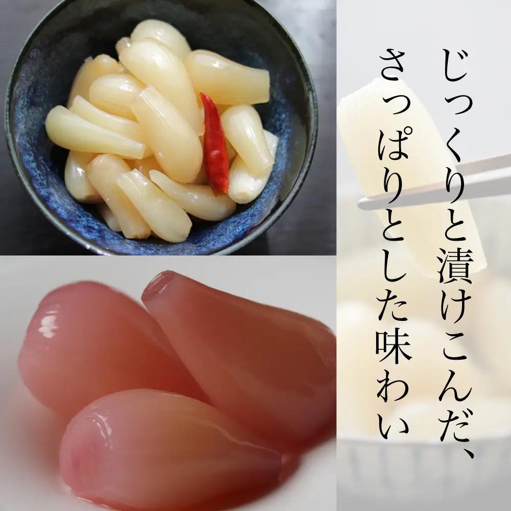 【鹿児島県産】白宝らっきょう 14P（甘酢漬け×7P・しそ漬け7P） ラッキョウ 甘酢らっきょう 惣菜 常温保存 ご飯のおとも 野菜 常温 漬物 国産