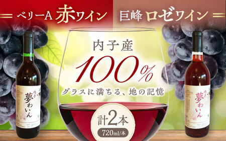赤(ベリーA)+ロゼ(巨峰) 1本約720ml 各1本 計1440ml BKAG001 ワイン