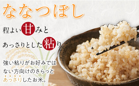 【先行予約】特別栽培米ななつぼし玄米5kg 令和7年産(10月より発送予定) |  玄米 玄米 玄米 玄米 玄米 _05274