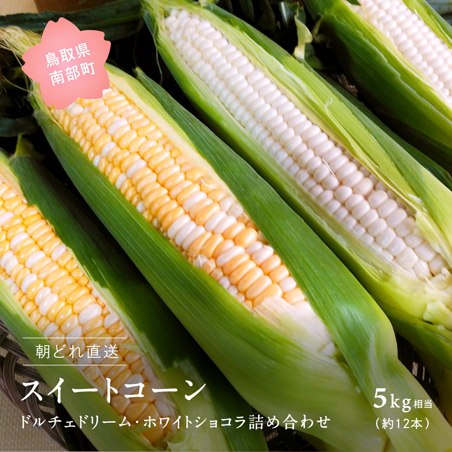 【ふるさと納税】南部町産 朝採れスイートコーン5kg箱 食べくらべセット（ドルチェドリーム・ホワイトショコラ）＜数量限定＞ 2025年収穫分 スイートコーン とうもろこし トウモロコシ コーン 鳥取県南部町