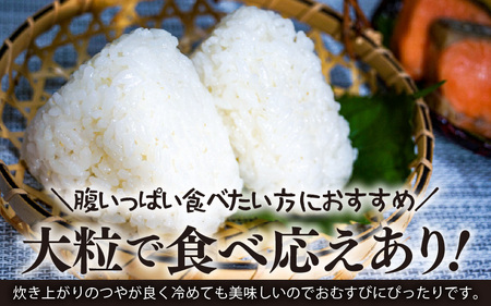 【令和7年産】化学肥料不使用 虹のきらめき 精米 4kg（真空パック1kg×4袋） [aw010-a027]