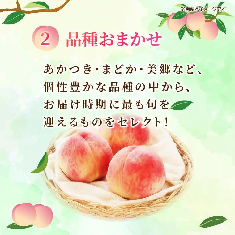 【先行予約・数量限定】大子町産「桃」約3kg 品種おまかせ（あかつき・まどか・美郷 等）｜茨城県 大子町 令和8年産 もも モモ フルーツ 果物 おまかせ 詰め合わせ 産地直送 旬 人気 厳選 奥久慈