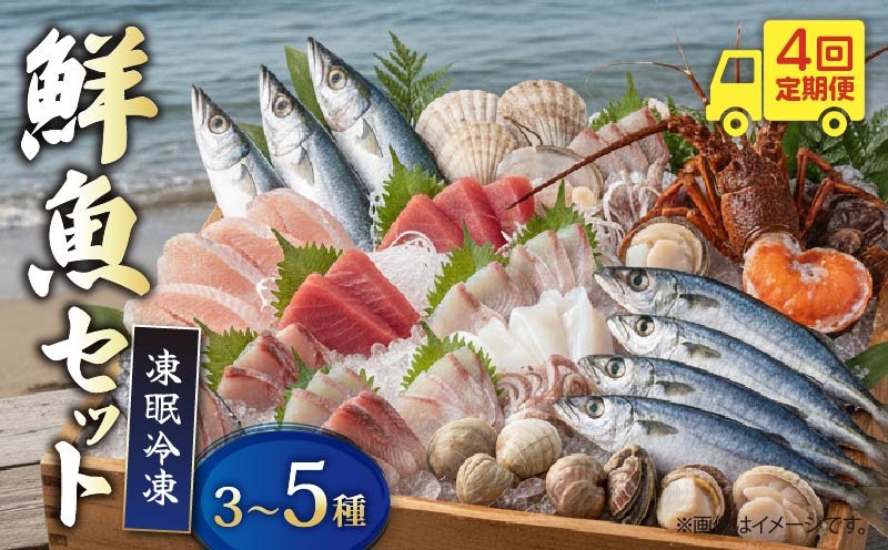 
                  【 海鮮 セット 】 4回 定期便 刺身用 冷凍 鮮魚 海鮮 かいせん 詰め合わせ ていきびん 伊勢海老 いせえび アジ タイ カンパチ ハマチ いか 漁師直送 旬魚 おまかせ 天然 国産 小分け 真空 冷凍保存 家庭用 贈答用 年末 年始 お取り寄せ グルメ 高知県 室戸市
                