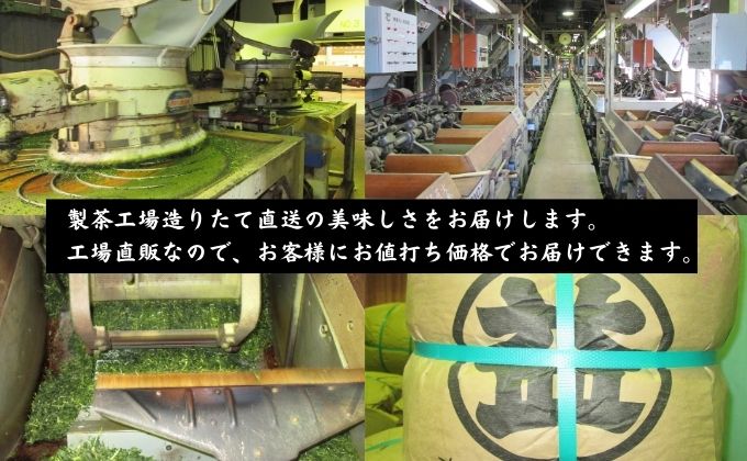 厳選　深蒸し上煎茶《薫》(1)（80g×3袋）