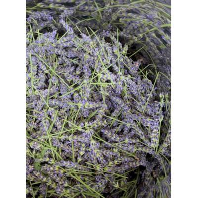 ふるさと納税 久喜市 久喜市菖蒲産ラベンダー芳香蒸留水(ハイドロゾル)100ml |  | 02