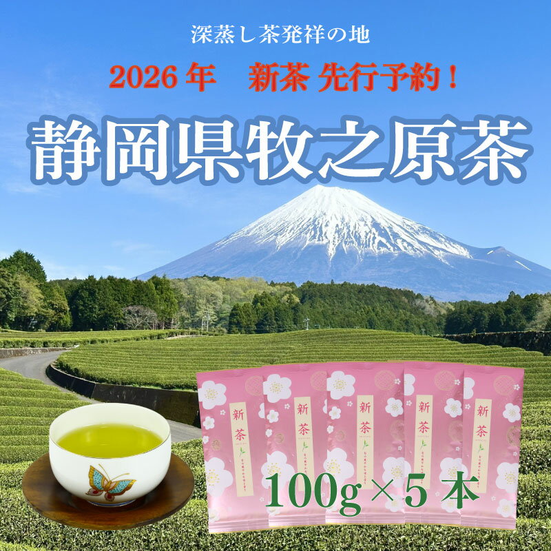 【ふるさと納税】【先行予約】2026年度産 新茶×5本 お茶 静岡 新茶 濃旨 緑茶 ティーバック 深蒸し茶 深蒸し 茶 水出し緑茶 水出し 静岡茶 日本茶 飲料 飲み物 ドリンク 深むし茶 静岡県 牧之原市 小栗農園