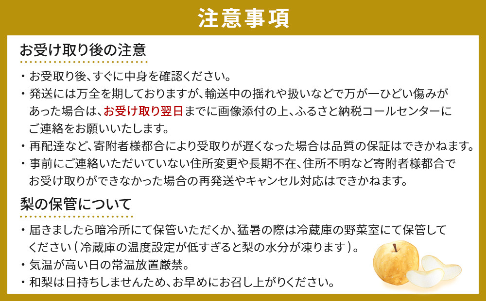 【JAみやぎ仙南】梨「新高」約5kg (6～8玉入)