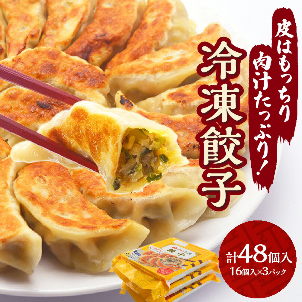 【ふるさと納税】 餃子 冷凍餃子 16個入り 3パック 計48個 ギョーザ 惣菜 晩ご飯 冷凍 点心 お肉 お取り寄せ グルメ 北海道 札幌市