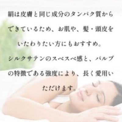 ふるさと納税 与謝野町 洗える抗菌シルク和紙 枕カバー 2枚セット【宮眞】肌にやさしい、美容・ヘアケアにぴったり |  | 02