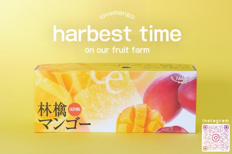 【2026年6月下旬より順次発送】マンゴーの里！豊見城市産♪あま〜い♪アップルマンゴー 約2kg(3～6玉)(家庭用)｜マンゴー アップルマンゴー フルーツ 果物 くだもの 先行予約 沖縄 おきなわ 