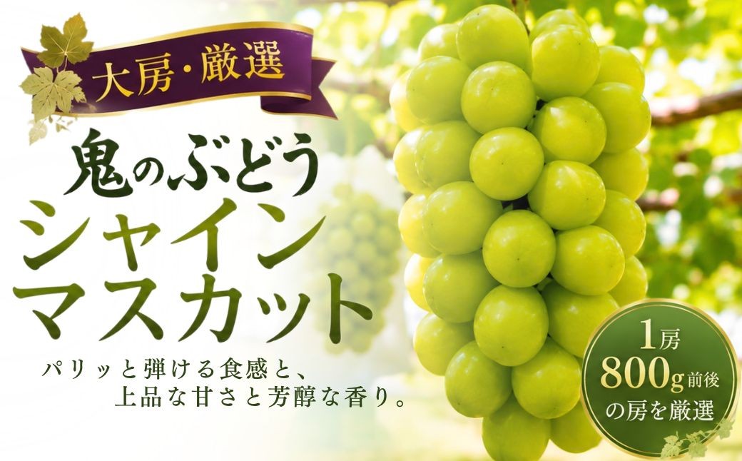 
                  【鬼のぶどう】シャインマスカット大房大粒 1房 (8月13日～9月15日の間に順次発送予定) | シャインマスカット大粒 シャインマスカット シャインマスカット シャインマスカットおすすめ 葡萄 ブドウ 豊後高田市
                