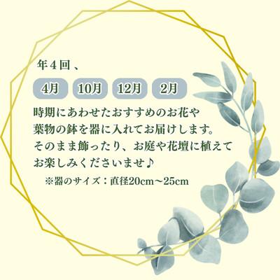ふるさと納税 日出町 【発送月固定定期便】育てる楽しさも味わえる♪花精おすすめのお花とグリーンの寄せ鉢全4回 |  | 01