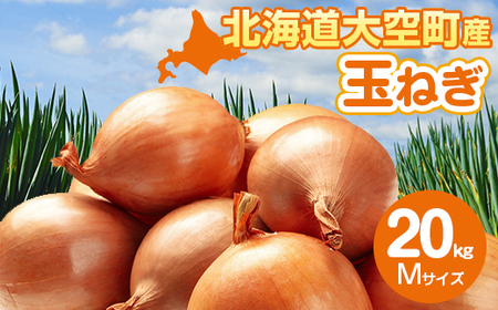 【先行予約】玉ねぎ Mサイズ 20kg 大空町産（2025年10月上旬より発送） 【 たまねぎ 玉ねぎ タマネギ 20kg M サイズ 甘い カレー 北海道産 野菜 旬 北海道 大空町 送料無料 】 OSR010