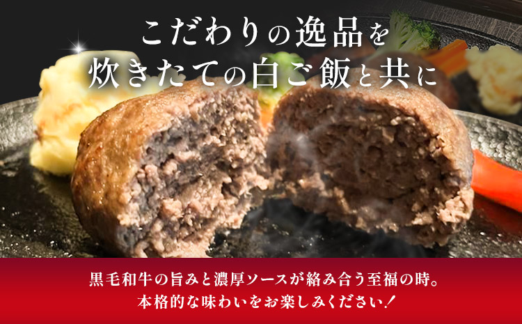 プレミアム ハンバーグ 6個 焼肉一福《60日以内に出荷予定(土日祝除く)》黒毛和牛 和牛 国産 冷凍 個包装 ジューシー 肉汁 贅沢 晩ごはん 惣菜 おかず デミグラスソース