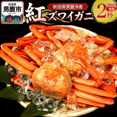 ふるさと納税 男鹿市 男鹿沖産紅ズワイガニ 600g 前後×2杯 男鹿なび 蟹 国産 秋田|23_ogn-160201