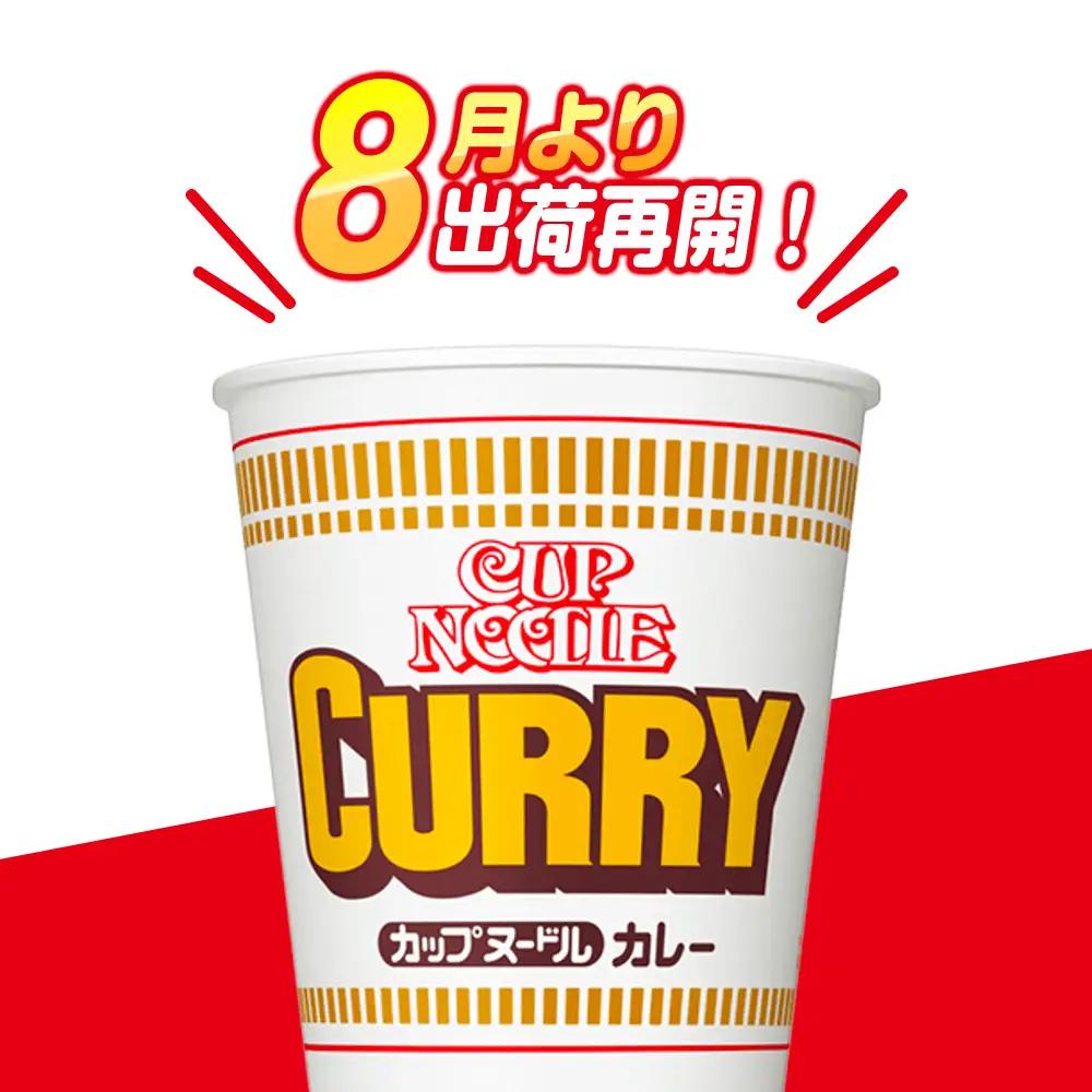 日清★カレーヌードル★2箱 合計40食