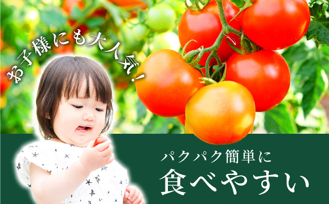 北海道伊達産 ミニトマト 甘っこ 1kg とまと 甘い 野菜 やさい 人気 新鮮 産地直送 農家直送 先行受付_イメージ4