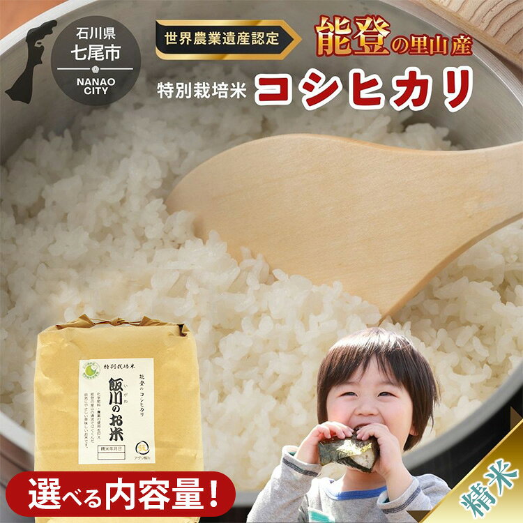 【ふるさと納税】【能登半島地震復興支援】＼選べる内容量／米 /能登のコシヒカリ 飯川のお米（精米）｜特別栽培米 石川県 七尾市 能登