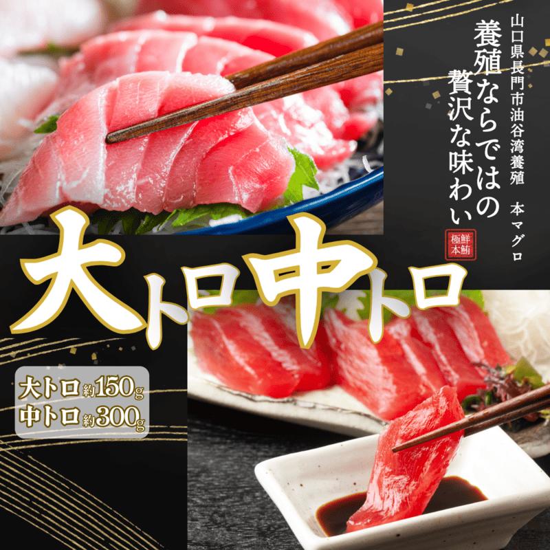 (1275)油谷産養殖本マグロ 大トロ 中トロ 柵セット