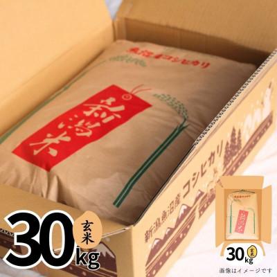 ふるさと納税 津南町 【令和7年産】魚沼産コシヒカリ金印(玄米)30kg |  | 02