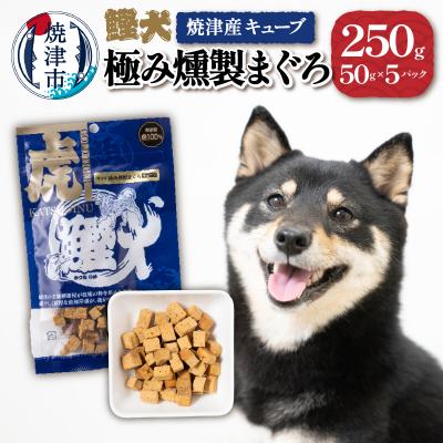 ふるさと納税 焼津市 無添加 犬用 おやつ「鰹犬」焼津産燻製まぐろキューブ5袋(a10-1094)