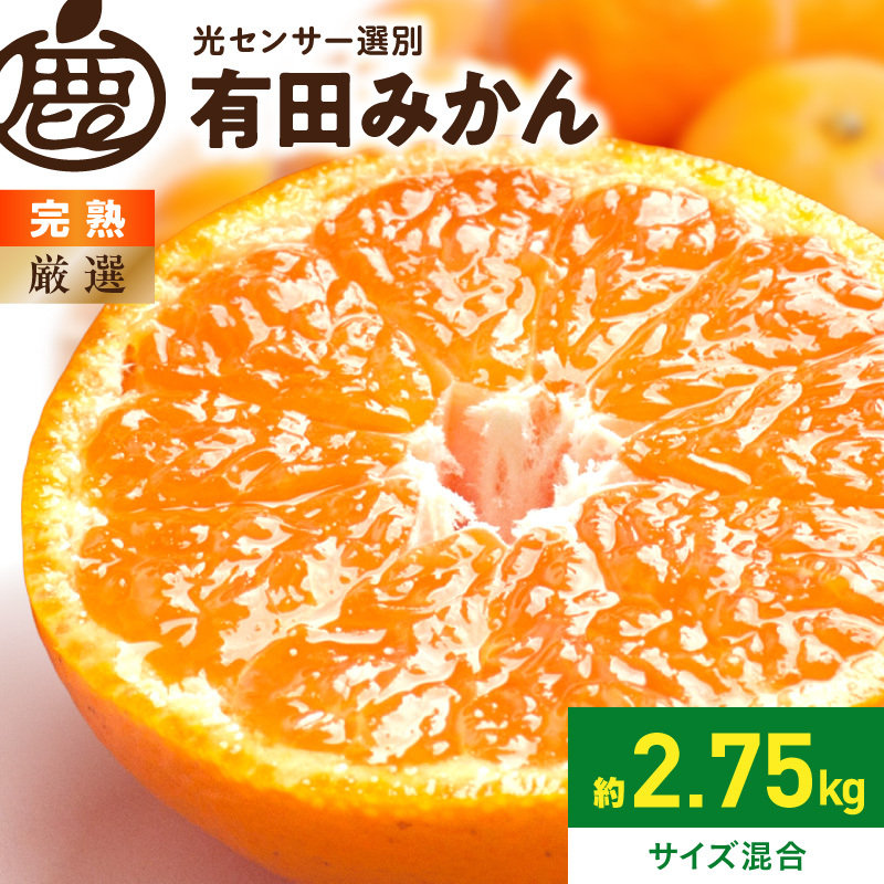 《2026年11月上旬～2027年1月下旬頃に順次発送》【2026年先行予約】厳選 完熟有田みかん約2.5kg+250g（傷み補償分）【光センサー選果】_ZH7122