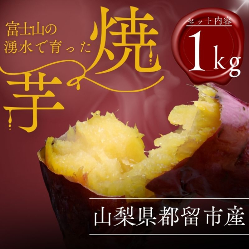 【先行予約】富士山の湧水で育った焼きいも【焼き芋 焼いも いも イモ お芋 サツマイモ 山梨県産 焼き芋 やきいも おいも 美味しい 2か月熟成 格別 富士山 湧水 極上 スイーツ ほっくり ほくほく おやつ 特別感 自分 ごほうび 記念 贈り物 贈答 格別】