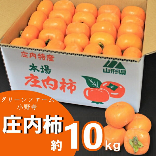 【ふるさと納税】グリーンファーム小野寺の庄内柿1箱約10kg ※11月中旬頃から順次配送予定（グリーンファーム小野寺）