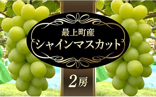 
            【予約返礼品】最上町産【シャインマスカット】２房
          
