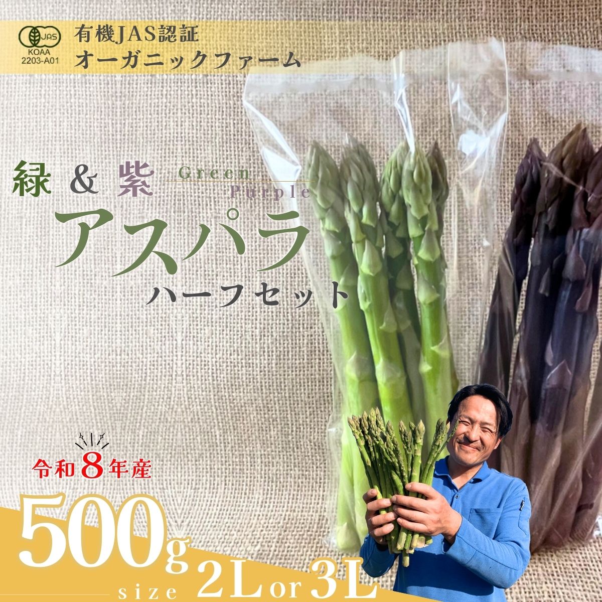 【ふるさと納税】【先行予約】オーガニック パープル＆グリーンアスパラガス ハーフセット 500g 2L～3Lサイズ | オーガニックアスパラ 有機JAS認証 グリーンアスパラガス パープルアスパラガス ハーフセット 2L 3L 新鮮 産地直送 春野菜 ギフト 旬 お取り寄せ 山口県 宇部市