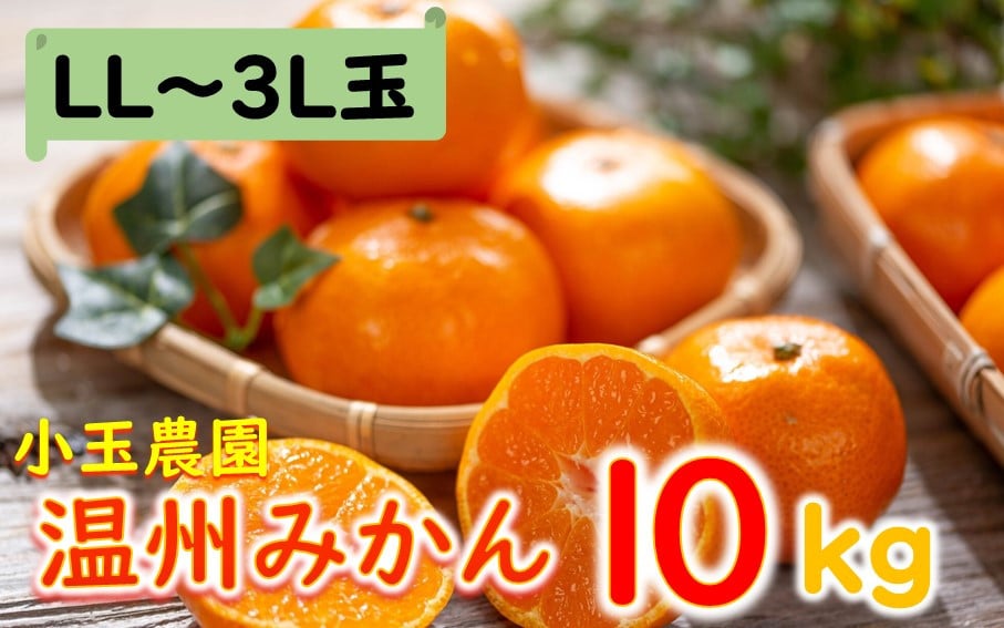 
            小玉農園/国東みかん約10kg（LL～3L）_2151R
          